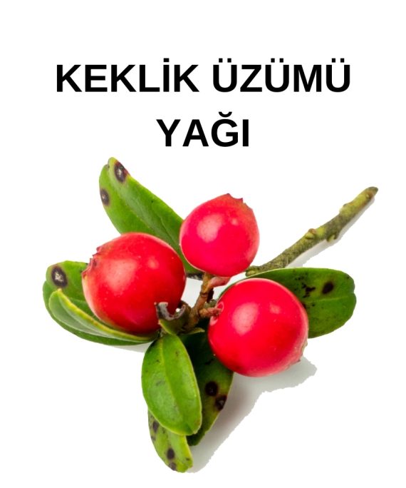 KEKLİK ÜZÜMÜ YAĞI