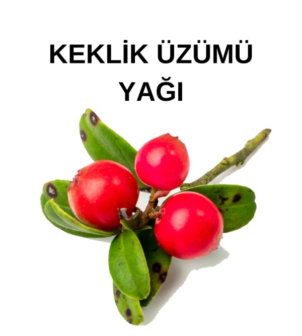 KEKLİK ÜZÜMÜ YAĞI