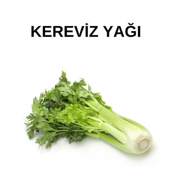 KEREVİZ YAĞI