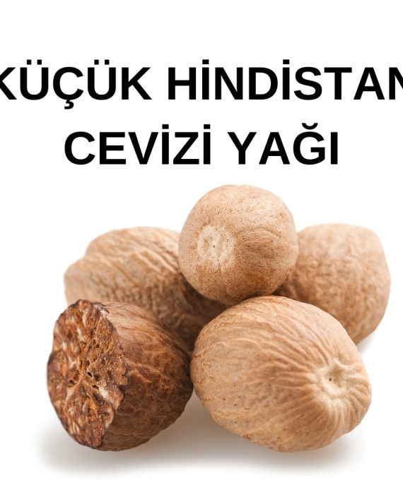 KÜÇÜK HİNDİSTAN CEVİZİ YAĞI