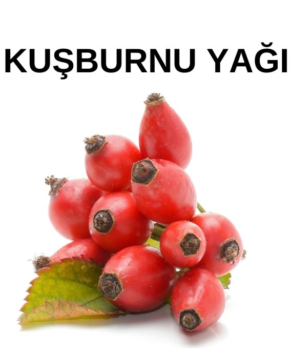 KUŞBURNU YAĞI