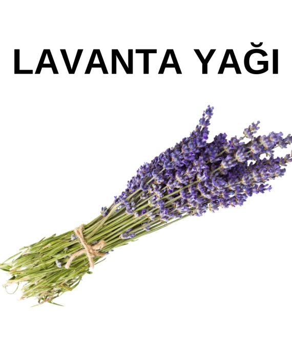 LAVANTA YAĞI (2)