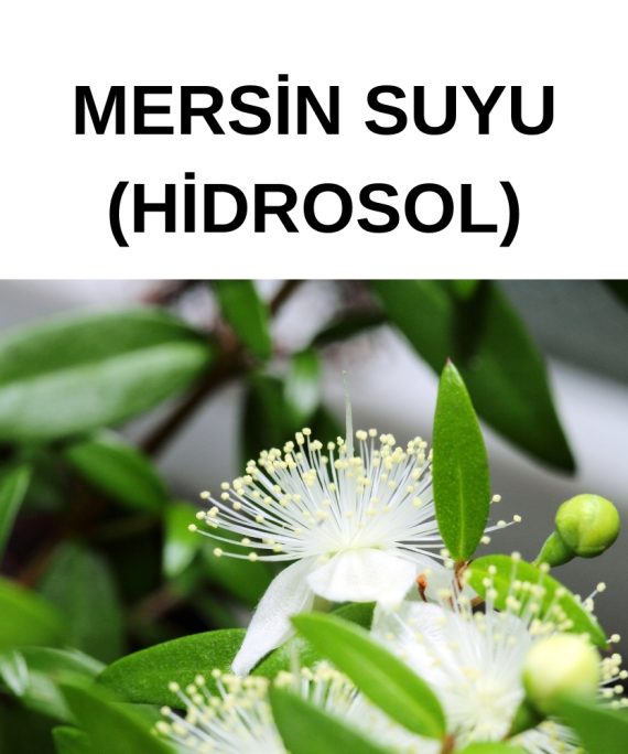 MERSİN HİDROSOL SUYU