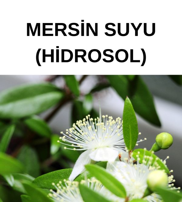 MERSİN HİDROSOL SUYU