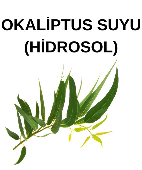 OKALİPTUS SUYU