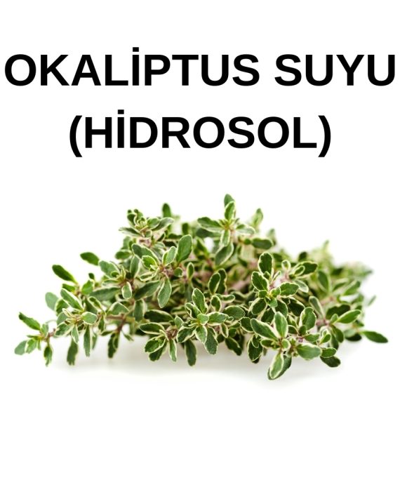 OKALİPTUS SUYU citriodora