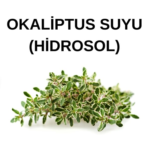 OKALİPTUS SUYU citriodora