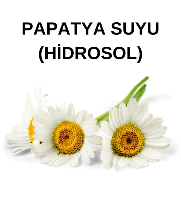 PAPATYA SUYU