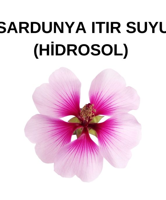 SARDUNYA SUYU