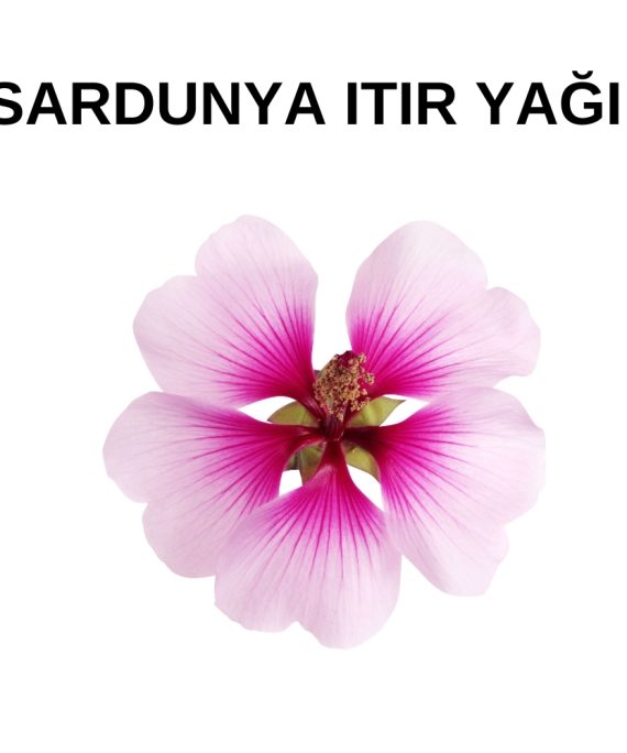 SARDUNYA YAĞI (1)