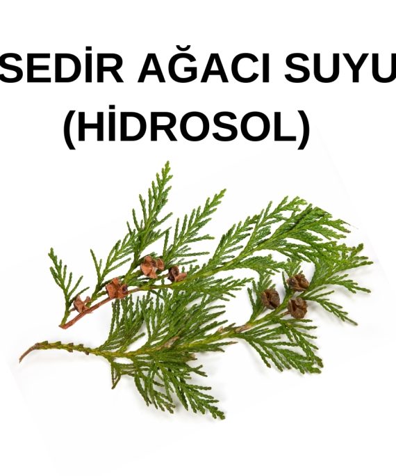 SEDİR SUYU