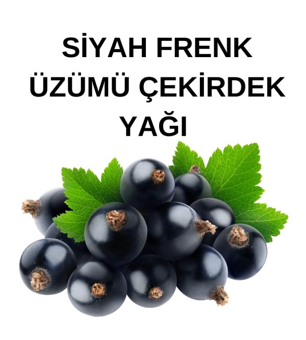 SİYAH FRENK YAĞI (2)