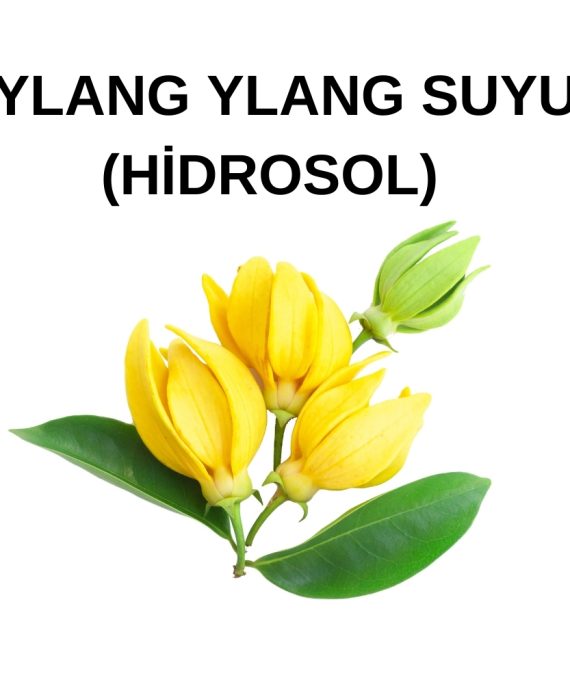 YLANG YLAN SUYU