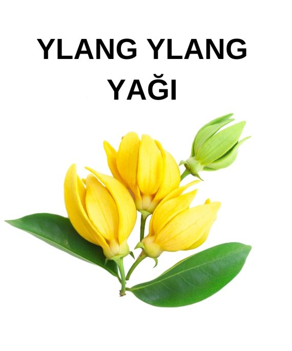 YLANG YLAN YAĞI