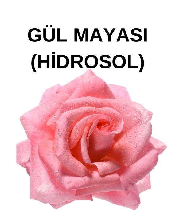 GÜL MAYASI