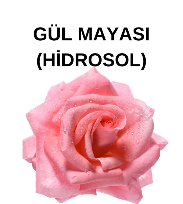 GÜL MAYASI